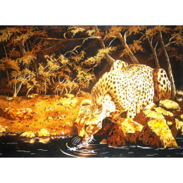 Леопард у реки